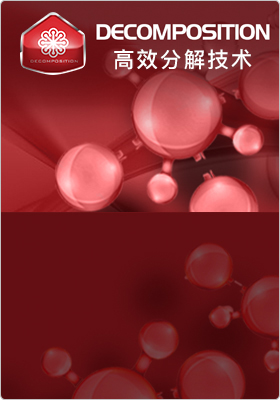 高效分解技術(shù) 高效分解技術(shù)